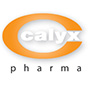 Calyx Chemicals & Pharmaceuticals Ltd